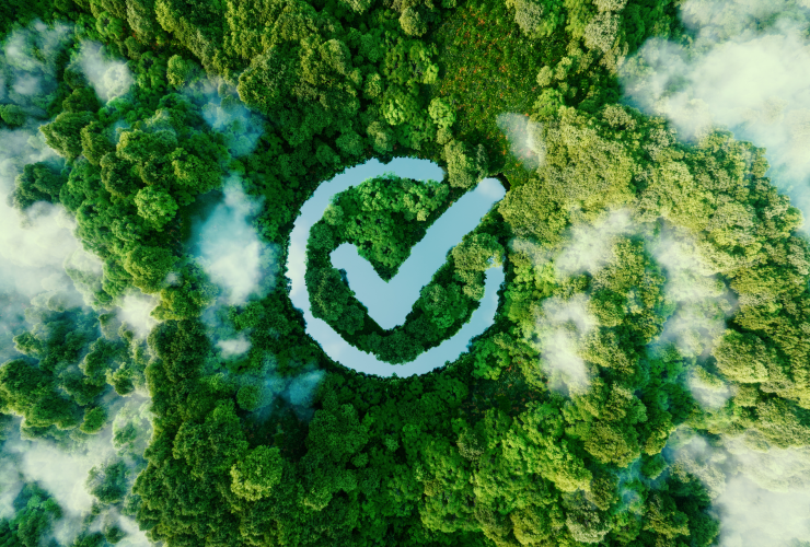 Чек-лист: 7 ключевых шагов для создания экологичного мероприятия